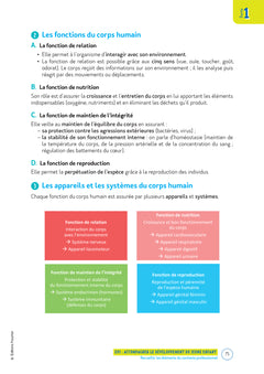 Prépa'CAP Accompagnant éducatif Petite Enfance