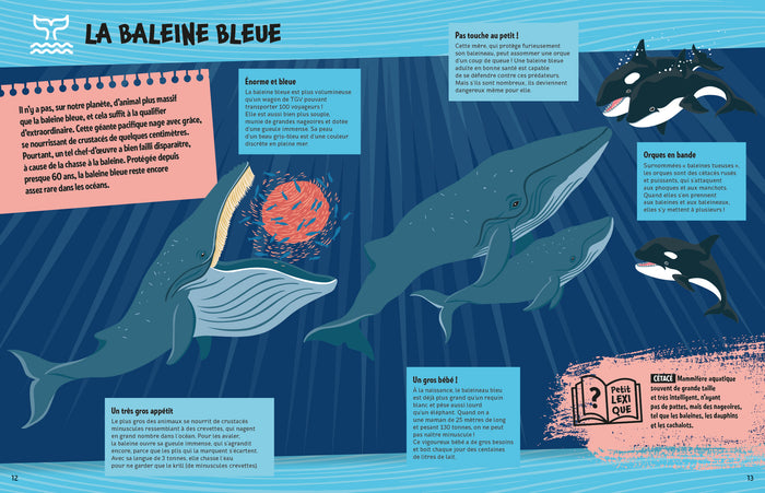 Les super pouvoirs des animaux