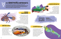 Les super pouvoirs des animaux