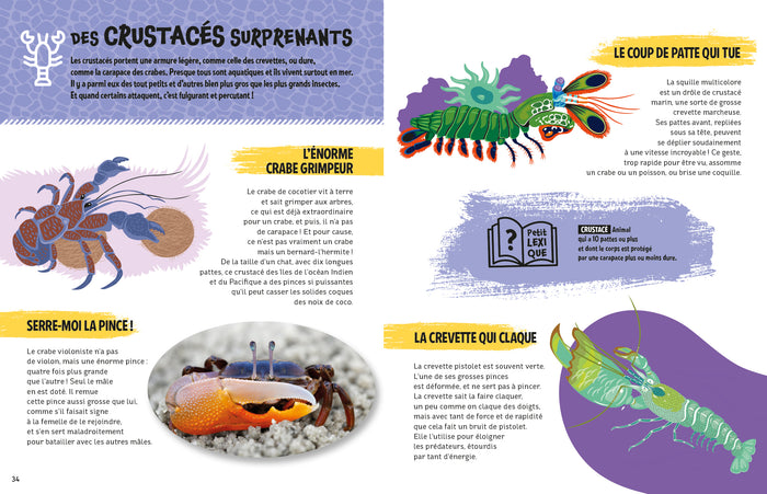 Les super pouvoirs des animaux