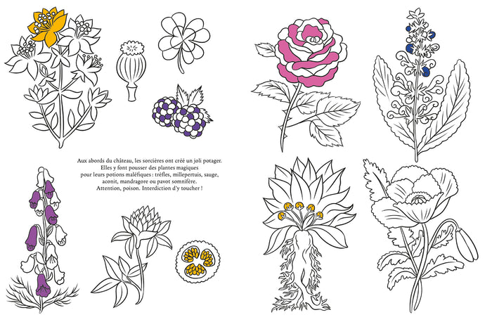 Le grimoire à colorier des sorcières