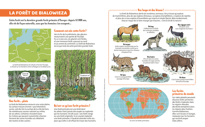 Mon encyclo à déplier Les merveilles de la nature