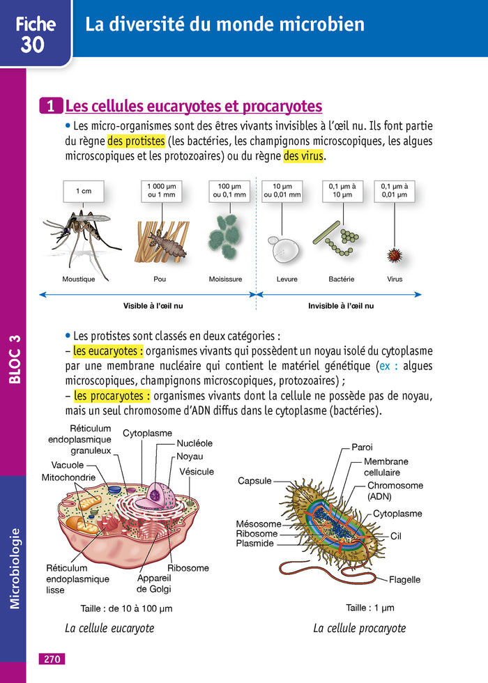 Objectif Bac pro ASSP (2de - 1re - Term) - Fiches