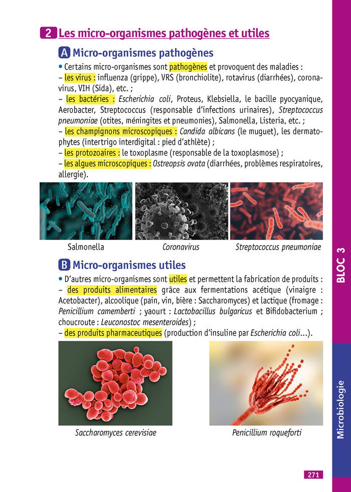 Objectif Bac pro ASSP (2de - 1re - Term) - Fiches