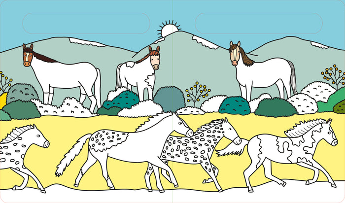 Les chevaux et poneys - Coloriage magique à l'eau