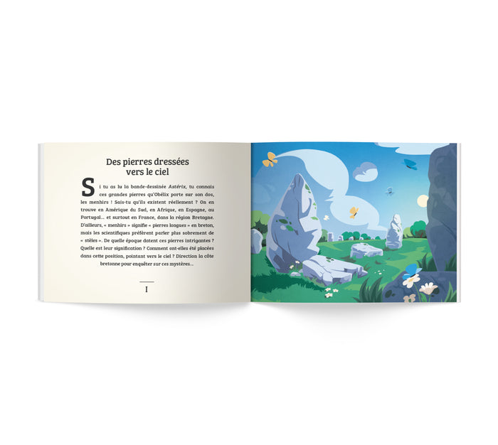 Les menhirs de Carnac