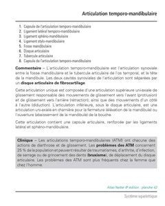 Mémofiches Anatomie Netter - Tête et cou