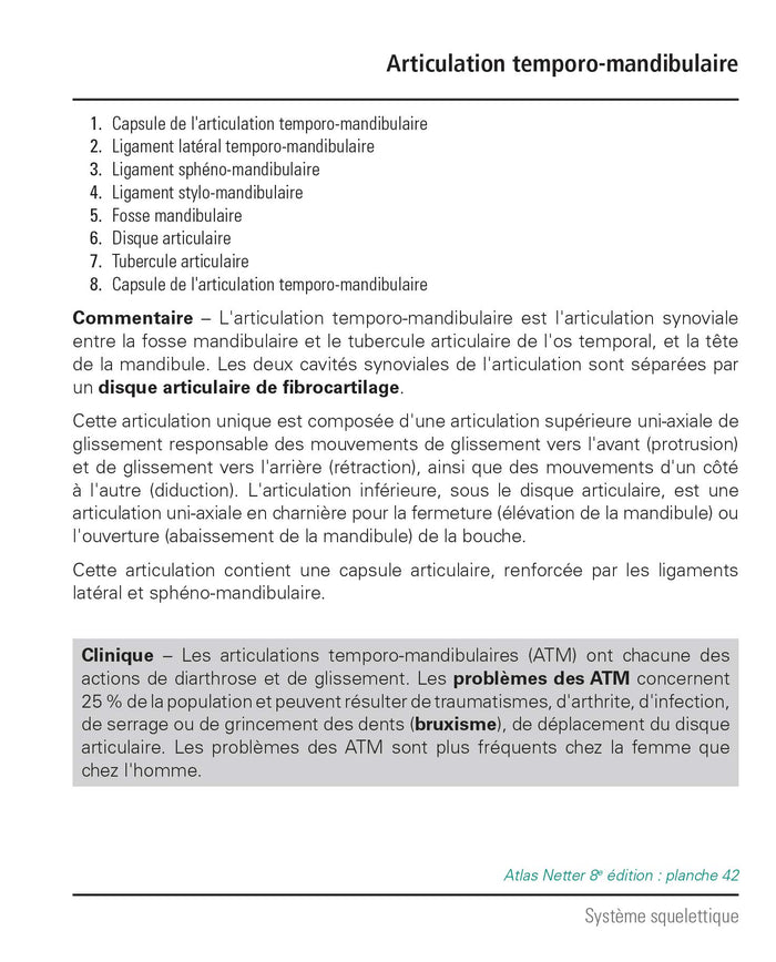 Mémofiches Anatomie Netter - Tête et cou