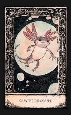 Le Tarot merveilleux