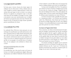 Power wish - Collector