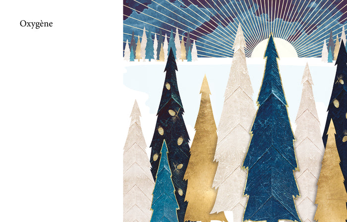 Méditations du matin