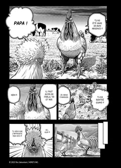Rooster Fighter - Coq de Baston T06