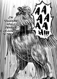 Rooster Fighter - Coq de Baston T06