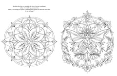 Le grimoire à colorier des fées