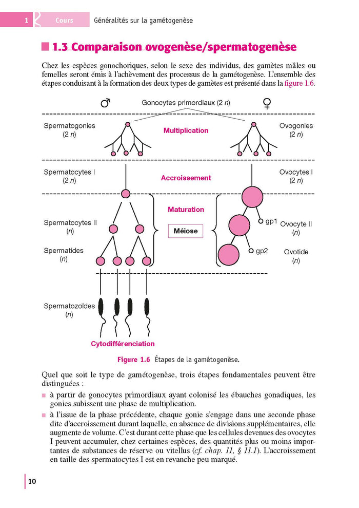 Reproduction et Embryologie 2e éd.