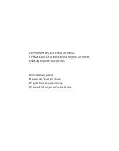 Une nuit d'enfant chat