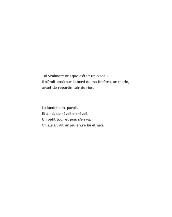 Une nuit d'enfant chat