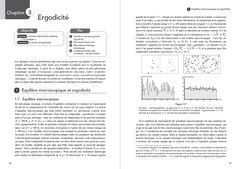 Physique statistique