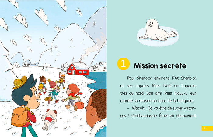 Code secret en Laponie