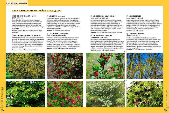 Adapter mon jardin au changement climatique