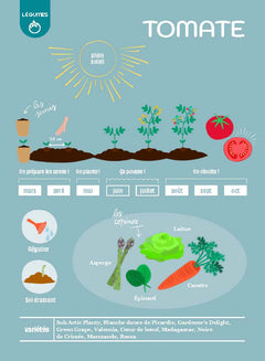 Les fiches du jardinier débutant - Au potager