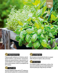 Les fiches du jardinier débutant - Au potager