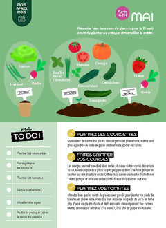 Les fiches du jardinier débutant - Au potager