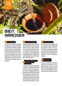 Les fiches du jardinier débutant - Au potager