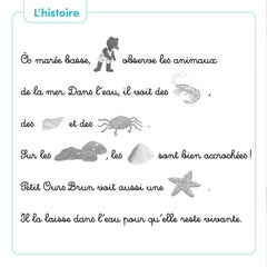 Petit ours brun veut protéger l'océan