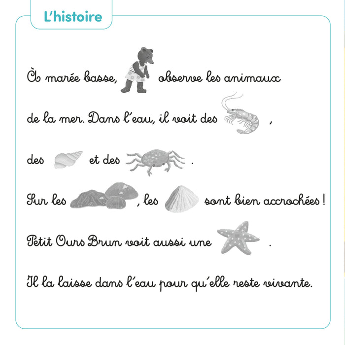 Petit ours brun veut protéger l'océan