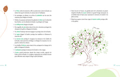 Magie des plantes