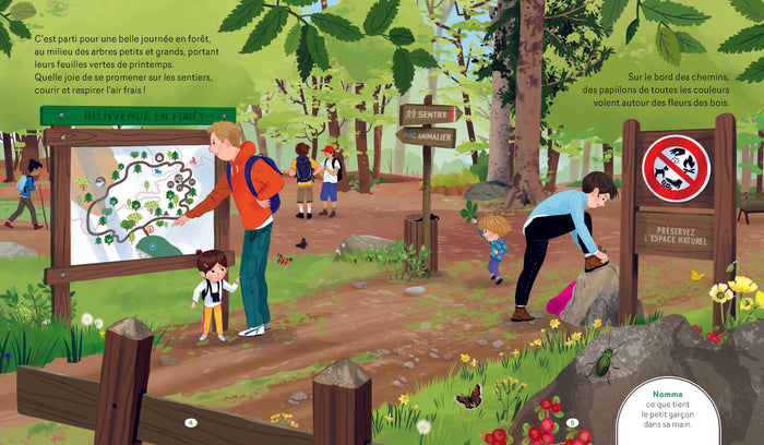 Une journée dans la forêt