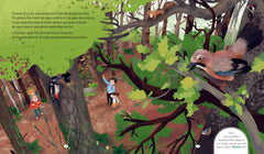 Une journée dans la forêt