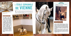 Au Galop - Passion équitation
