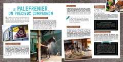 Au Galop - Passion équitation