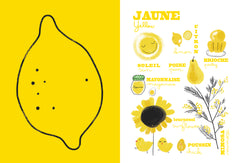 Les couleurs de monsieur Bear