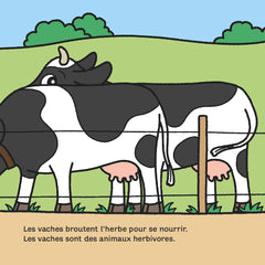 La vache