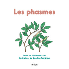 Les phasmes