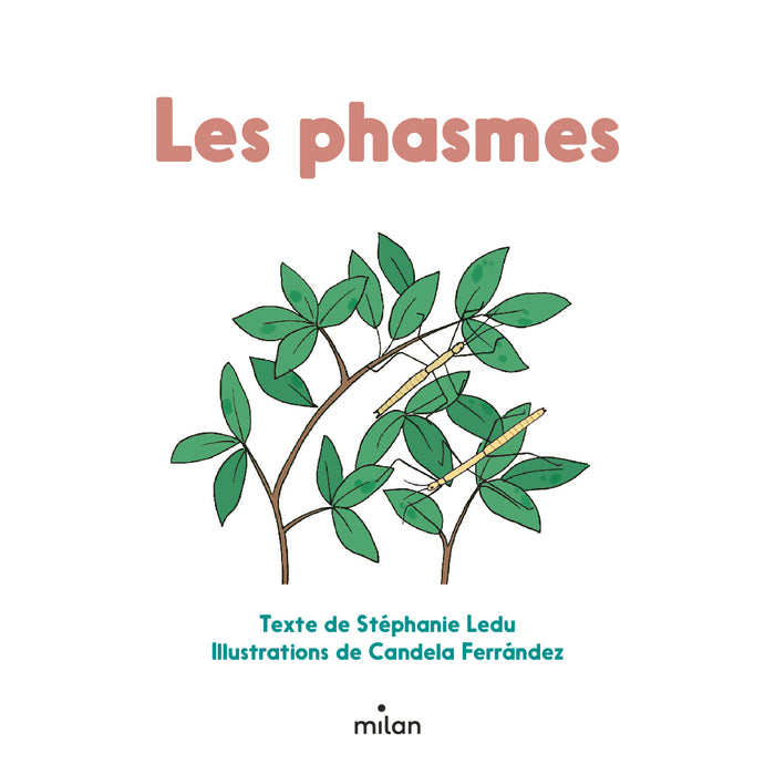 Les phasmes