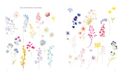 Monogrammes à l'aquarelle