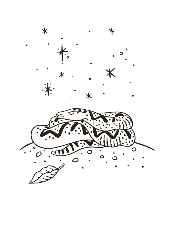 La grenouille qui ne savait pas qu'elle était cuite... et autres leçons de vie