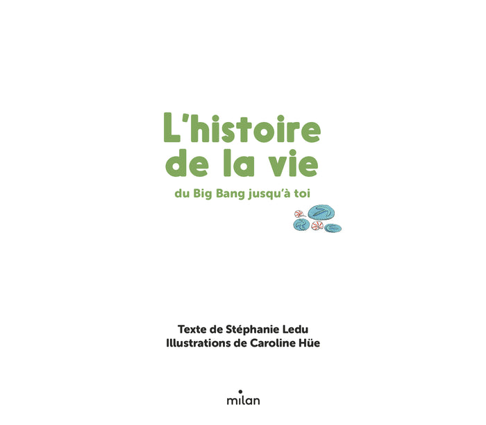 L'histoire de la vie, du big-bang jusqu'à toi