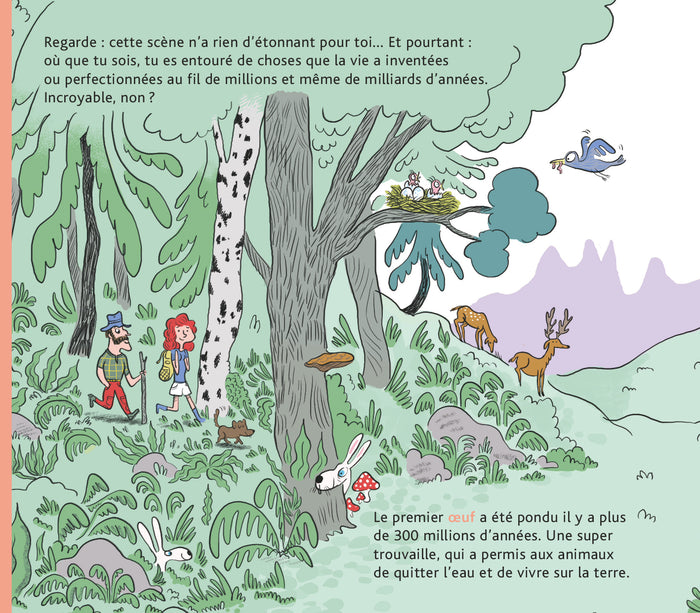 L'histoire de la vie, du big-bang jusqu'à toi