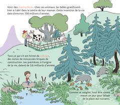 L'histoire de la vie, du big-bang jusqu'à toi