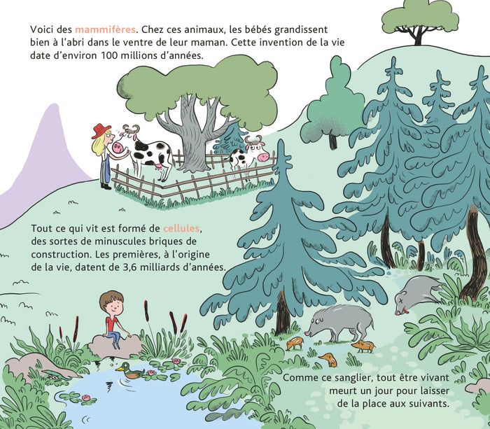 L'histoire de la vie, du big-bang jusqu'à toi