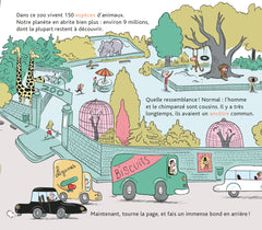 L'histoire de la vie, du big-bang jusqu'à toi