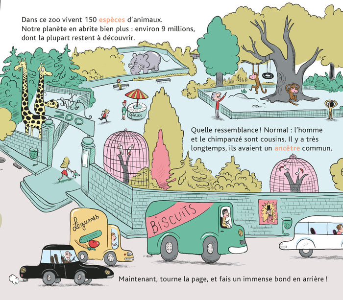 L'histoire de la vie, du big-bang jusqu'à toi