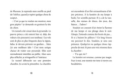 Mon roman CHASSE AU TRESOR - A la recherche de l'amulette d'Osiris