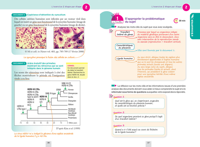 Annales du bac Annabac 2025 SVT Tle générale (spécialité)