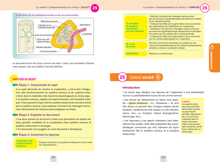 Annales du bac Annabac 2025 SVT Tle générale (spécialité)